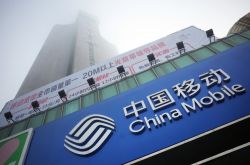 【5分钟科普】西双版纳单位电话_哔哩哔哩-3